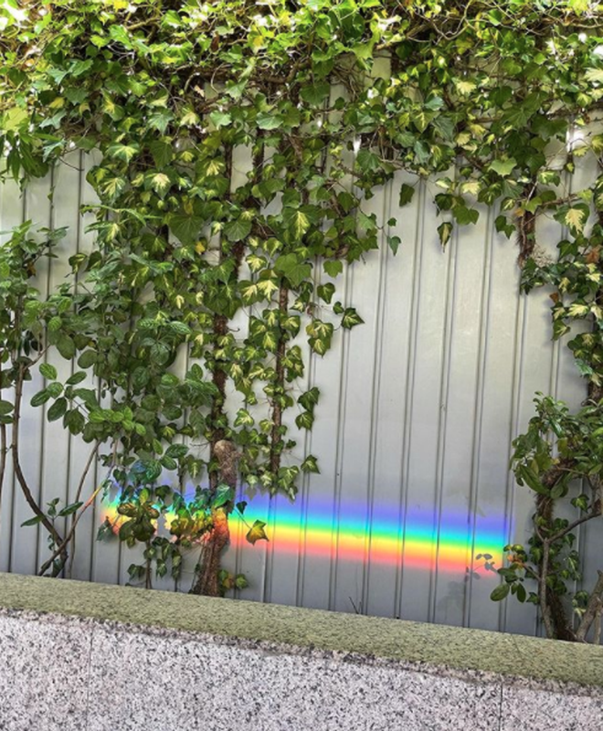 Arcoiris fallecimiento abuela cristina pedroche