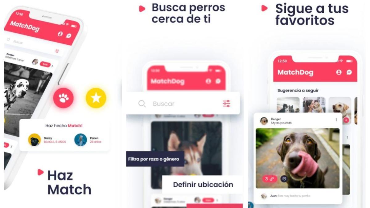 TRUCOS PERROS | Las mejores aplicaciones móviles para los dueños de mascotas: MatchDog