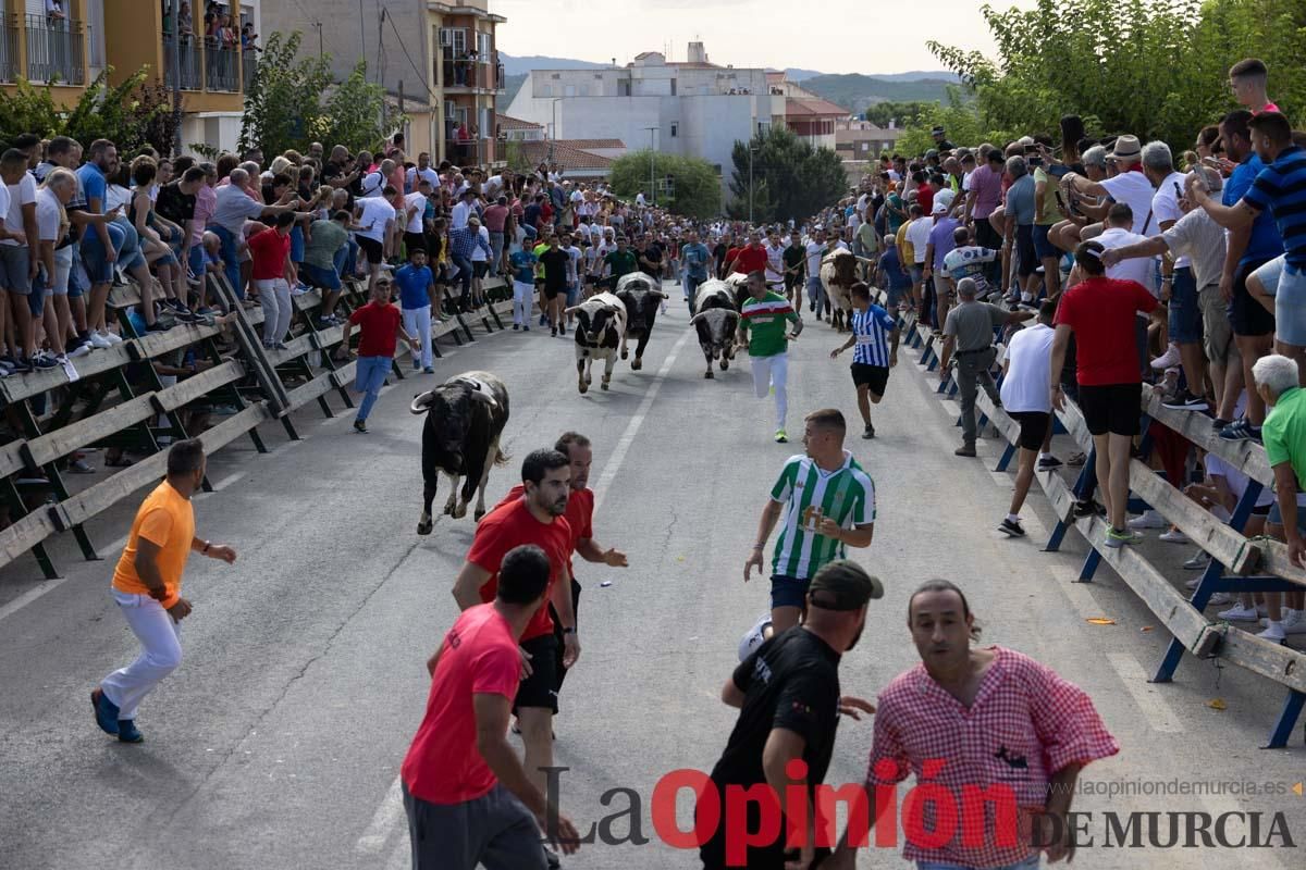 Primer encierro de la Feria del Arroz de Calasparra