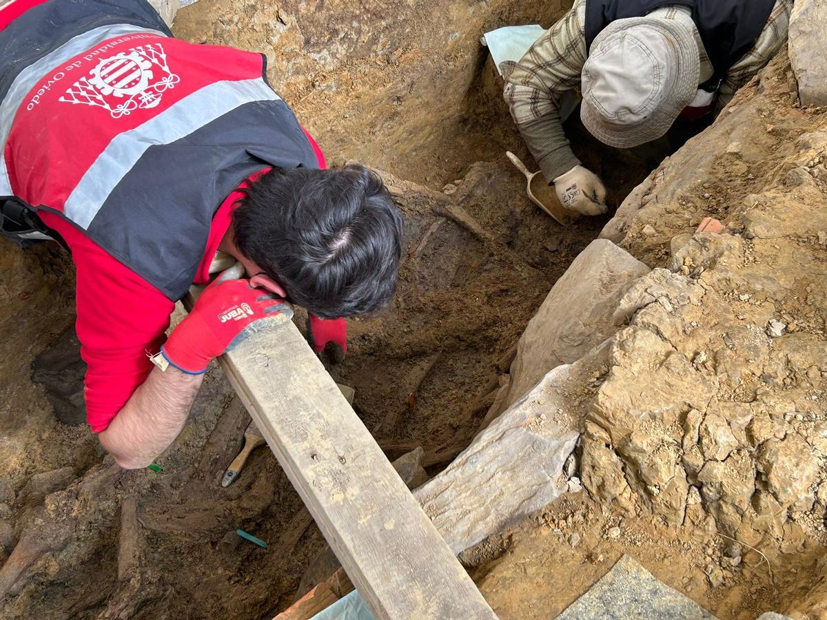 EN IMÁGENES: Así avanzan los trabajos de exhumación en la fosa común de La Lloba, en Castrillón