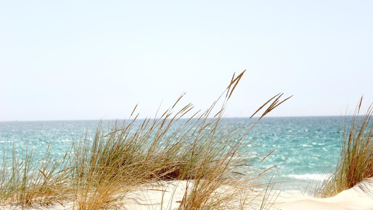 Cinco calas secretas para disfrutar este verano