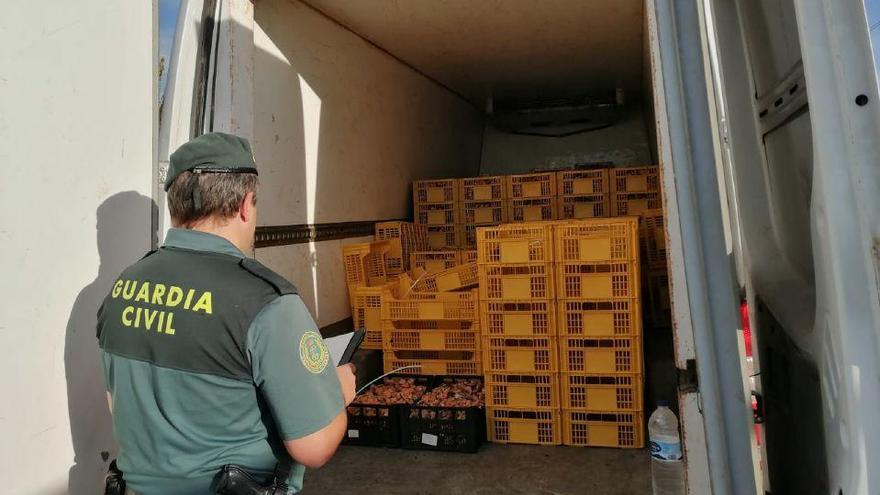 Furgoneta inmovilizada con las 188 cajas de setas en Villar del Río (Soria).