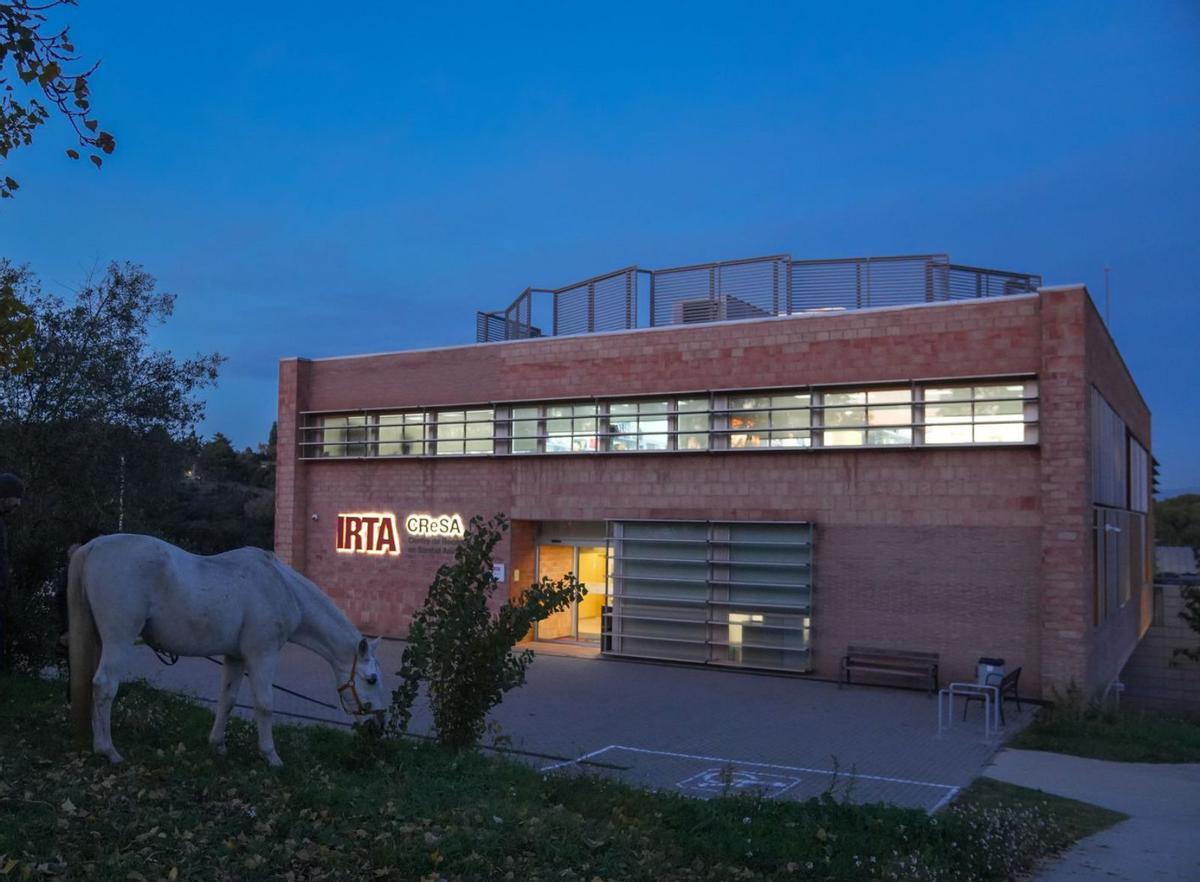 El centre investigat construeix un edifici annex per estudiar patògens perillosos