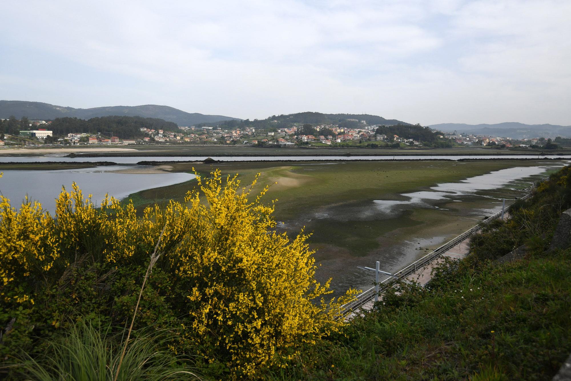 Caminando por el Lérez: las mareas vivas destapan el lecho del río