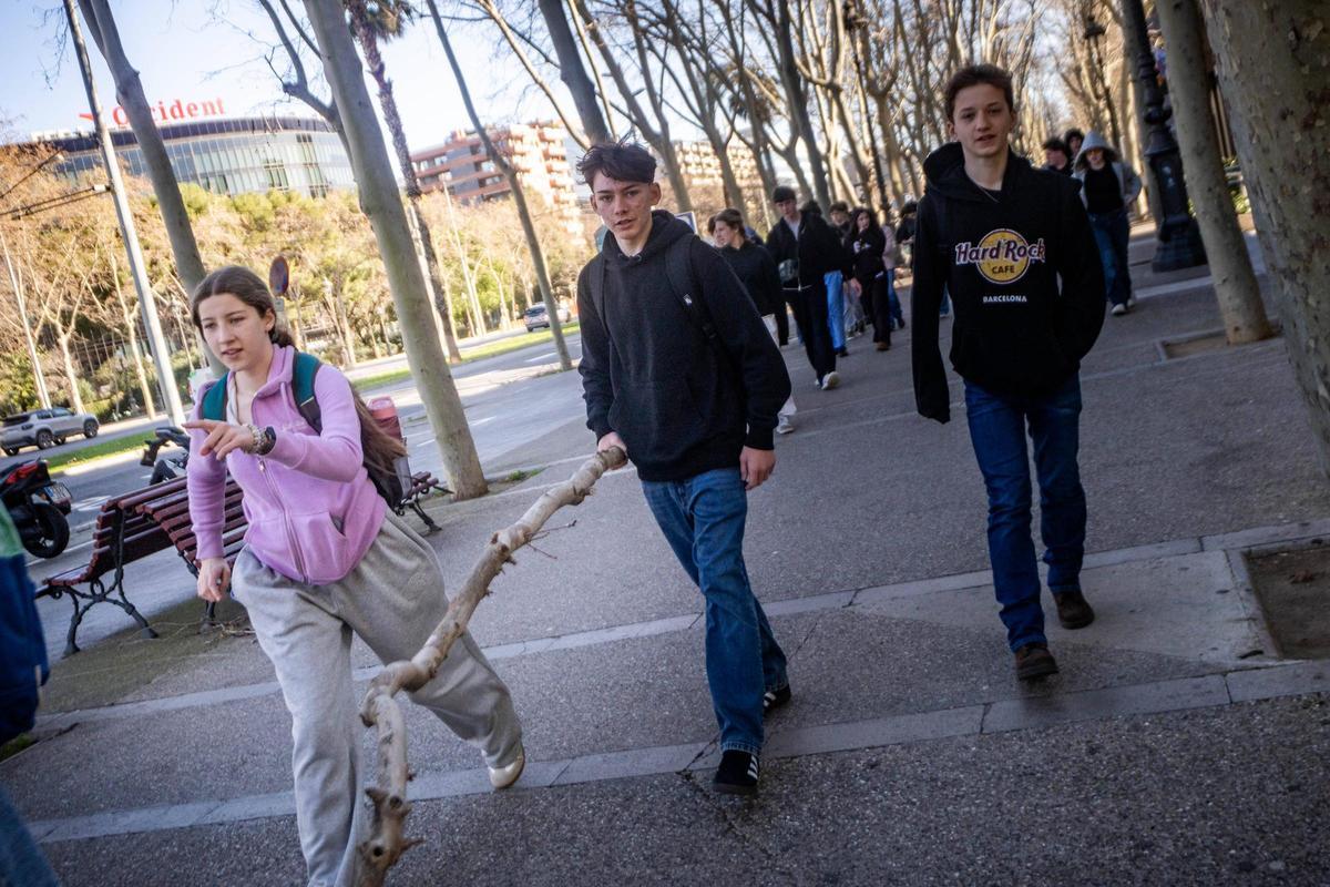 Un chico camina por la Diagonal con una rama de árbol en la mano