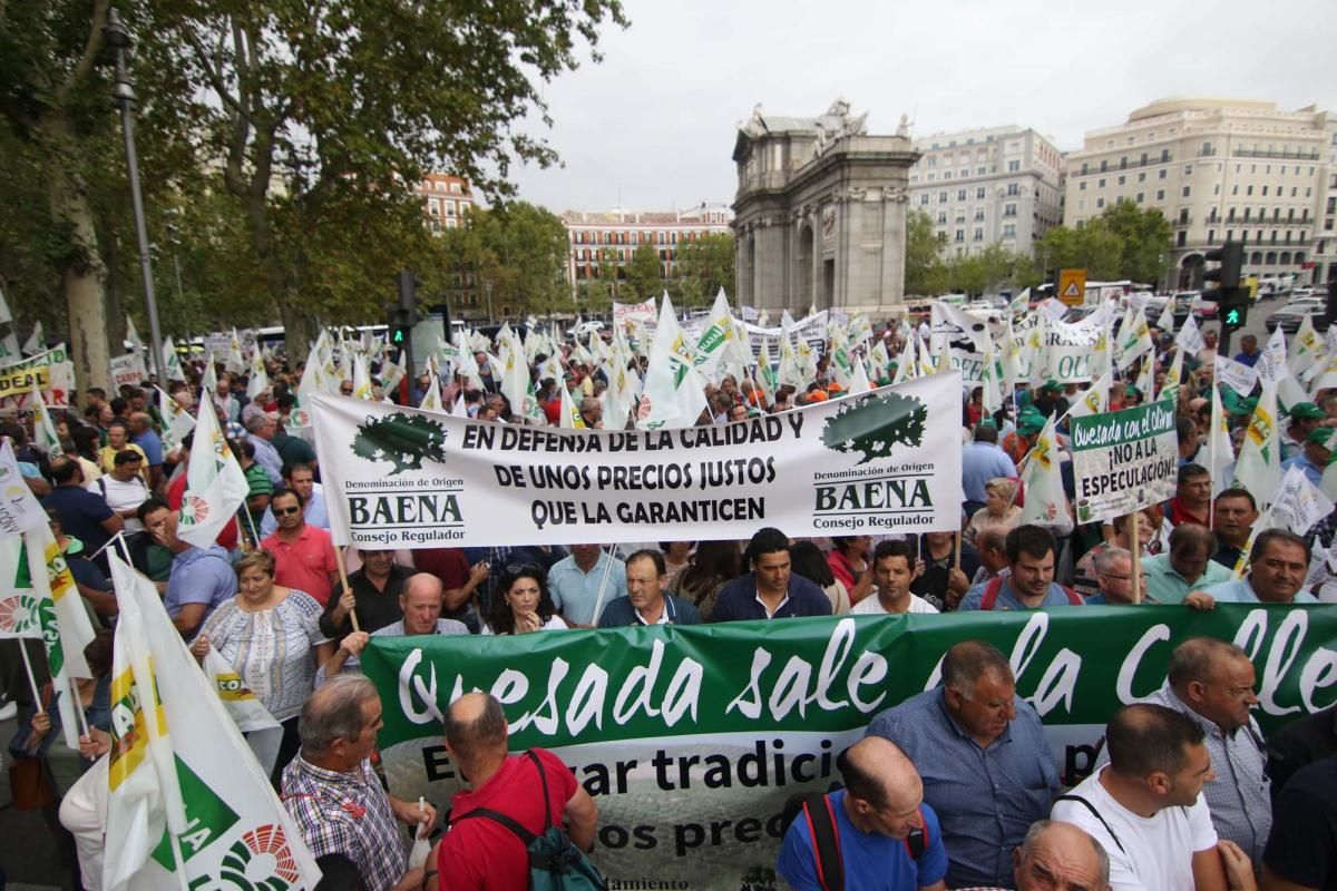 Córdoba se suma a la gran manifestación del olivar en Madrid