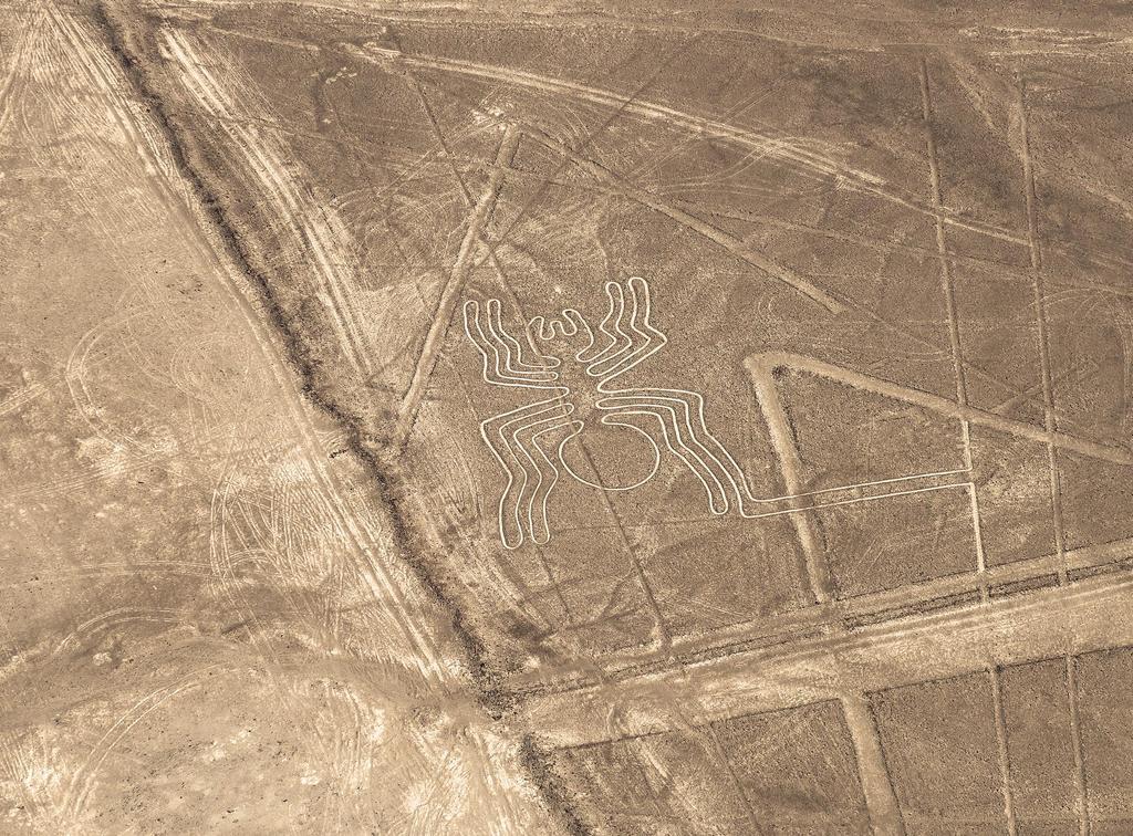 Línea de Nazca en forma de araña
