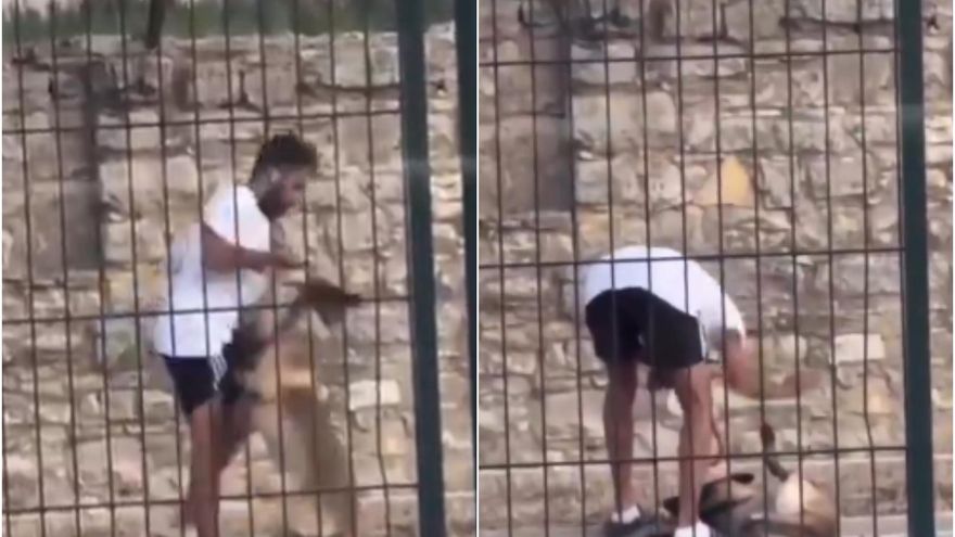 Un vídeo difós a les xarxes destapa un cas de maltractament a un gos a l’estació de Calaf