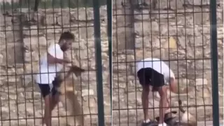 Un vídeo difós a les xarxes destapa un cas de maltractament a un gos a l’estació de Calaf