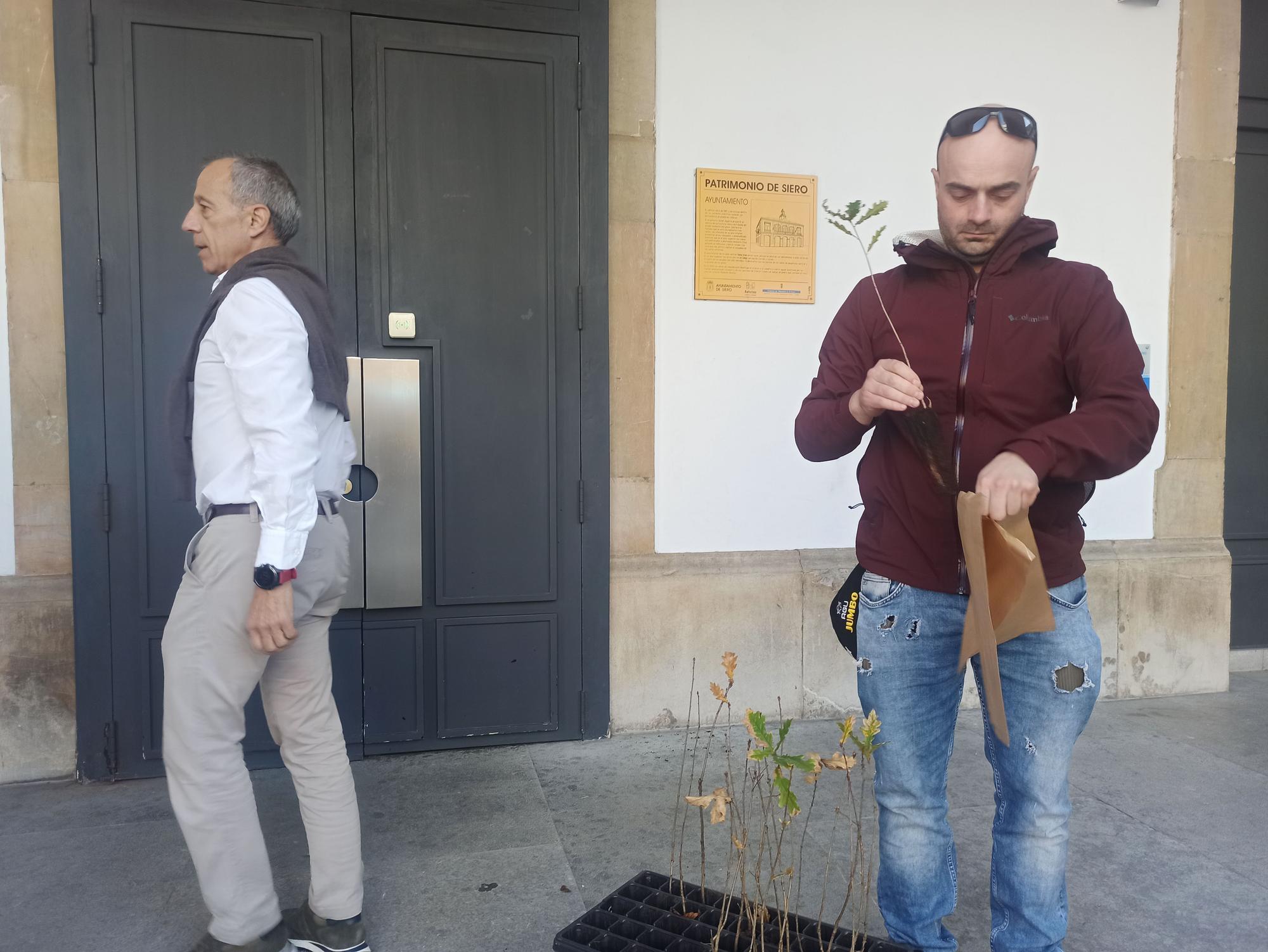 Árboles para la huerta, para cerrar una finca o para replantar en el monte en Siero: así son los usos que dan los vecinos a los plantones repartidos por el Ayuntamiento