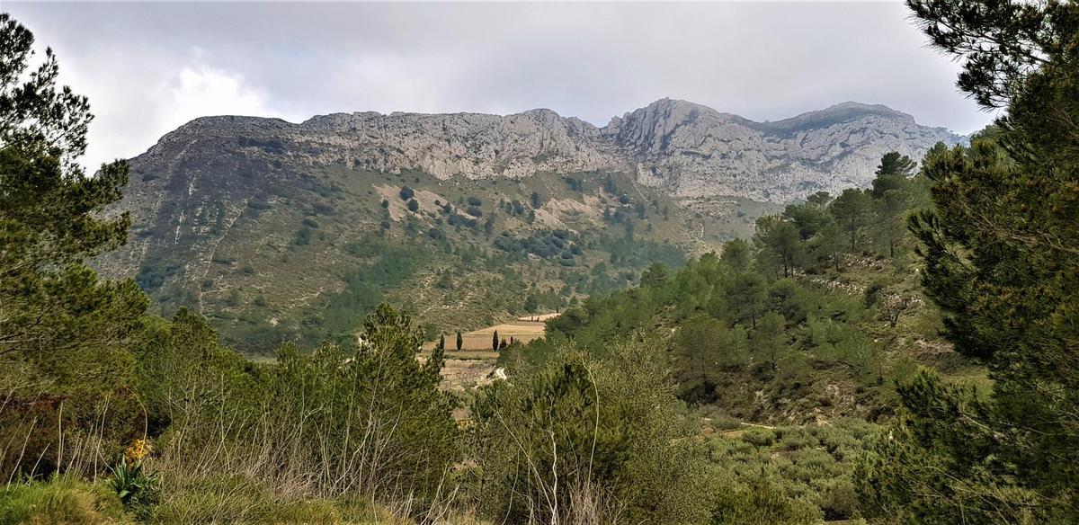La sierra de Ses Cordelleres, en Benigembla