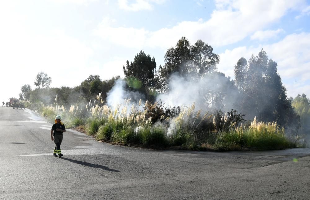 El fuego, en una zona situada entre A Zapateira y A Corveira, se inició pasadas las ocho de la mañana y quedó sofocado al filo de las 10.00 horas.