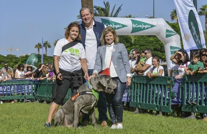 16/12/2018 LAS PALMAS DE GRAN CANARIA. Carrera ...