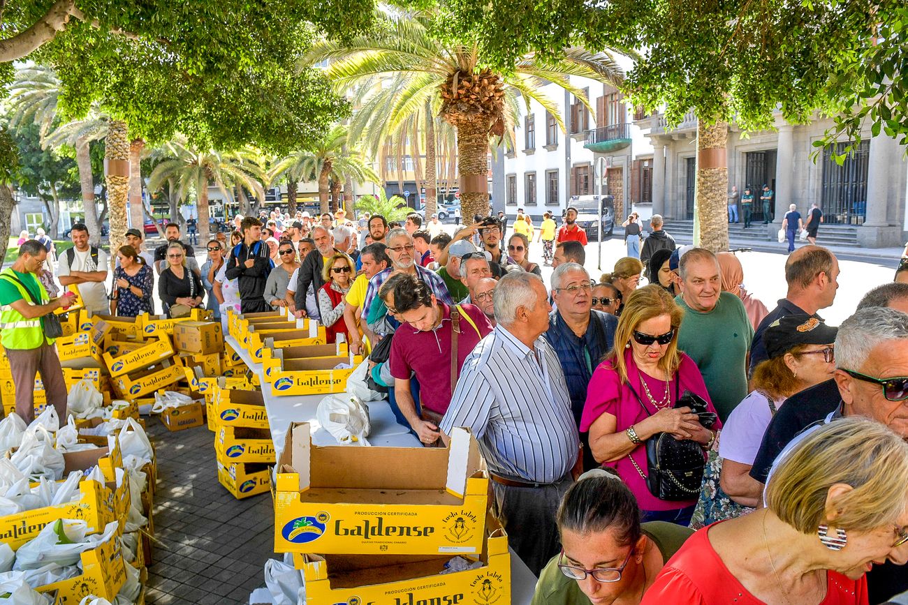 Tractorada del sector primario en Las Palmas de Gran Canaria (21/02/24)