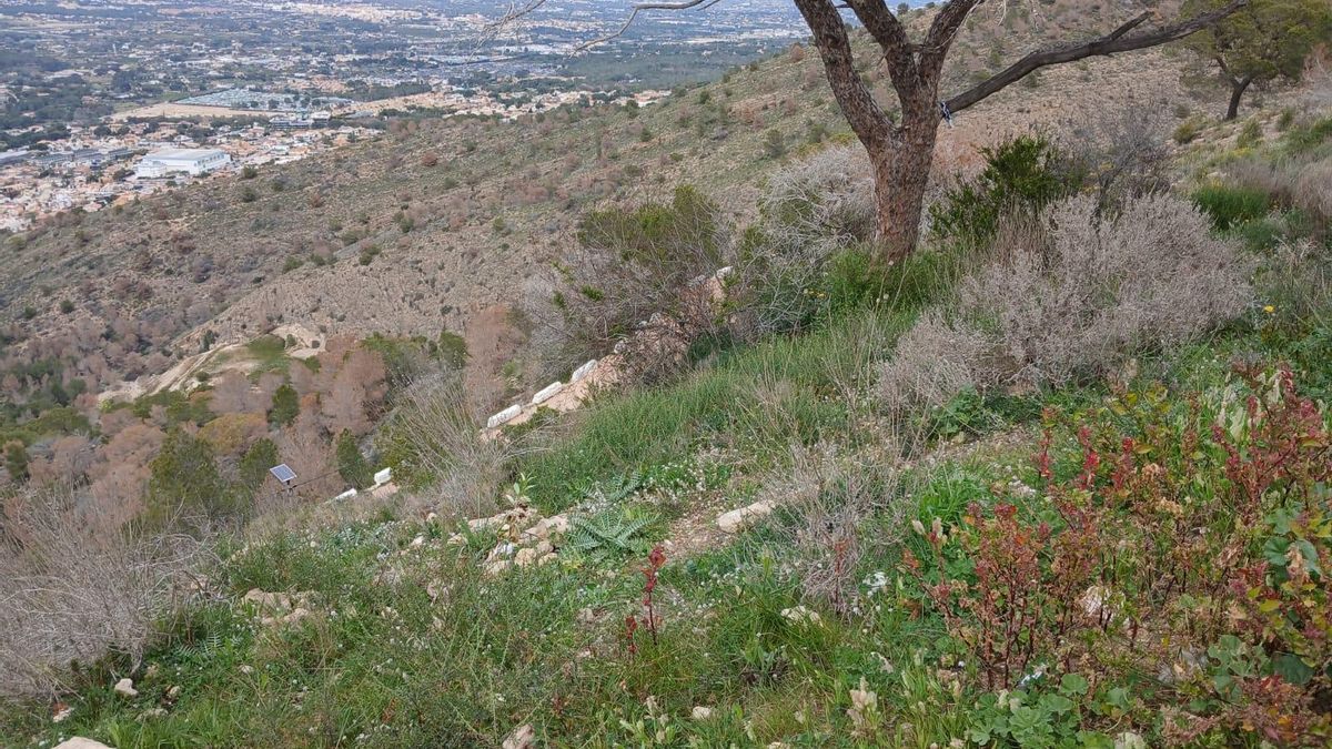 Una tarea difícil la de mantener el parque