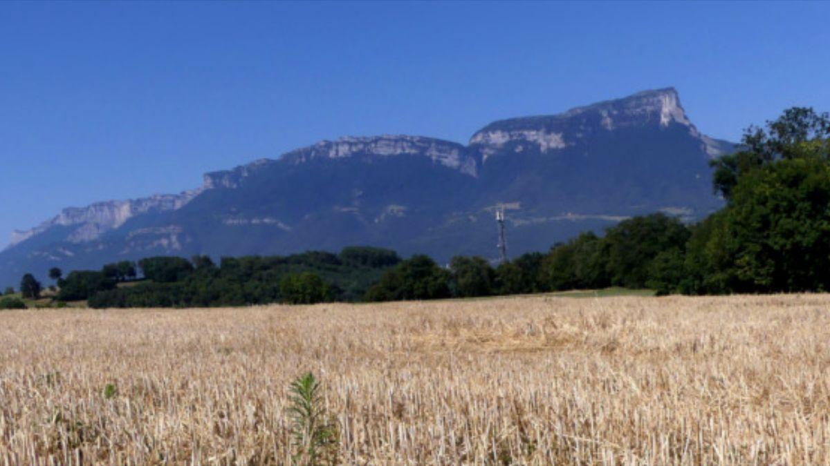 Campos secos en Saboya, Francia, fotografiados el 8 de julio de 2026.