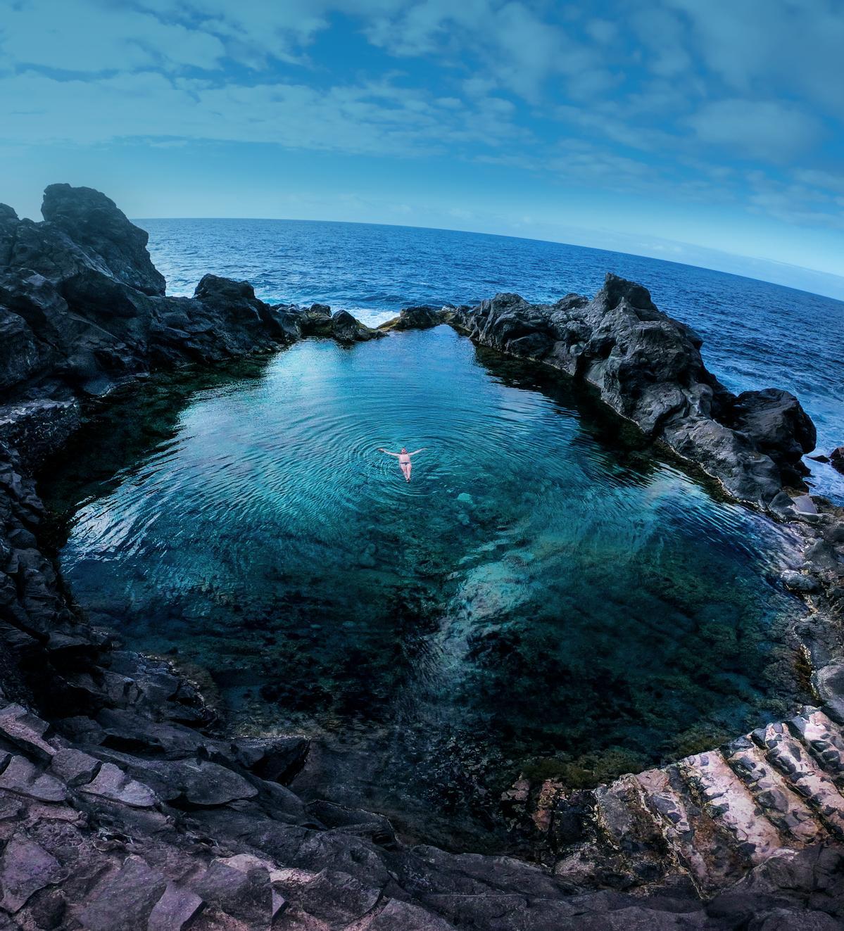 El mar de Tenerife está lleno de tesoros por descubrir.