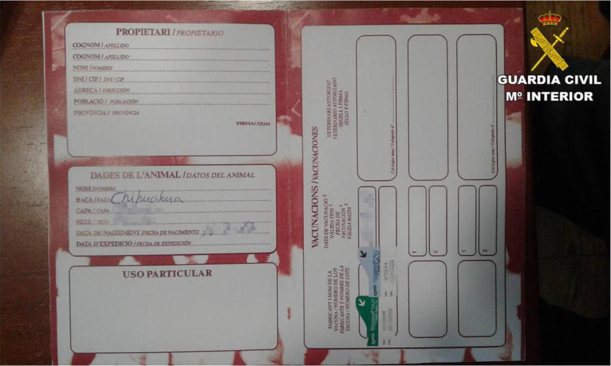 Cartilla sanitaria falsificada.