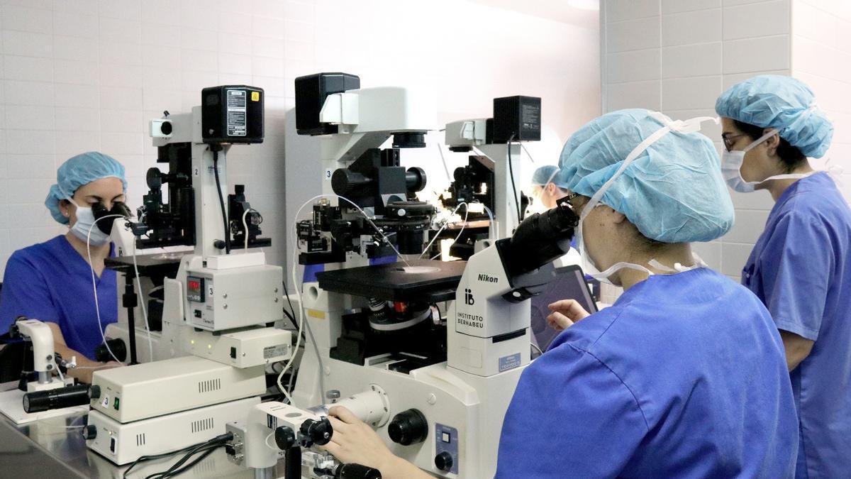 Uno de los laboratorios del Instituto Bernabeu.