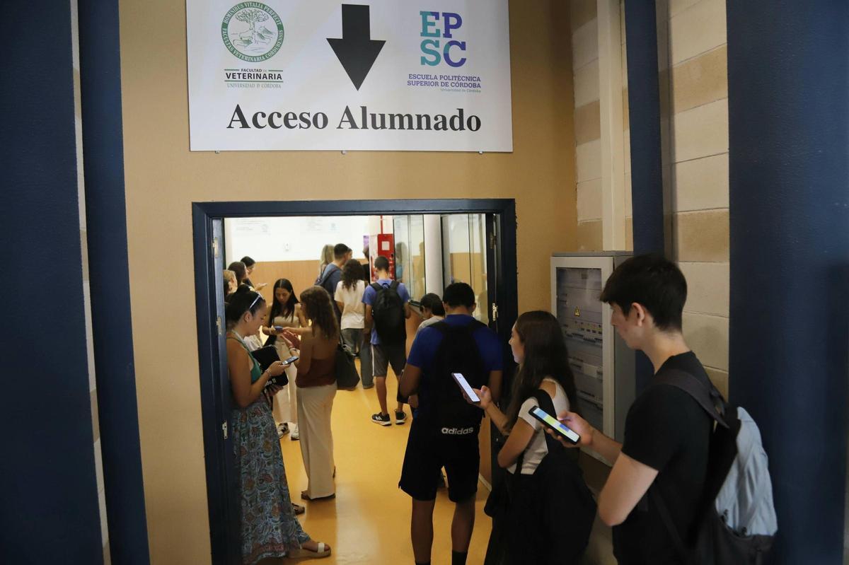 La promoción de hábitos de consumo responsables ha permitido reducir el consumo eléctrico.