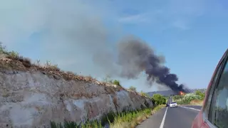 "Direkt vor der Tür" bei Danni Büchner: 30 Pferde vor Brand auf Bauernhof in Manacor gerettet