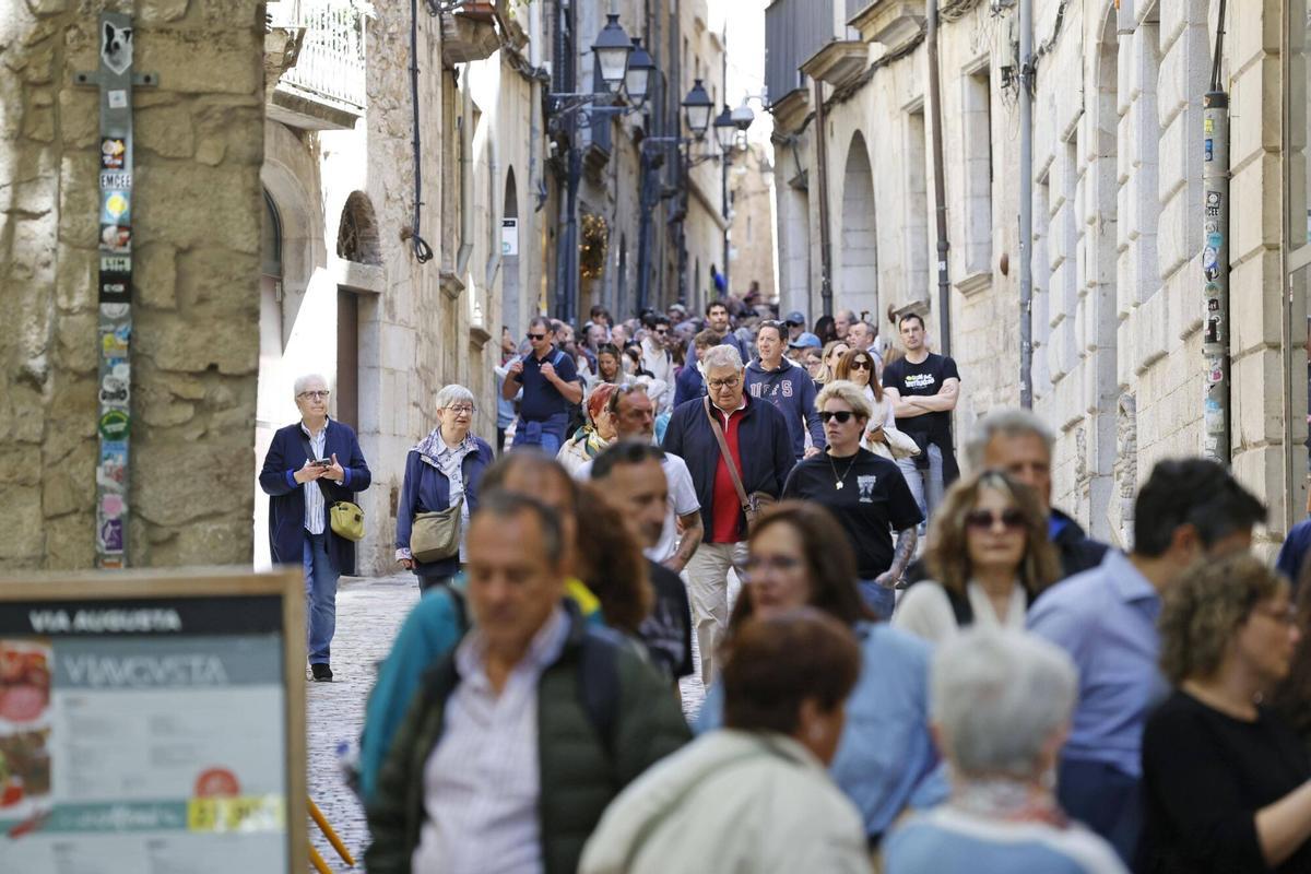 Les imatges de l'últim dissabte de Temps de Flors 2026