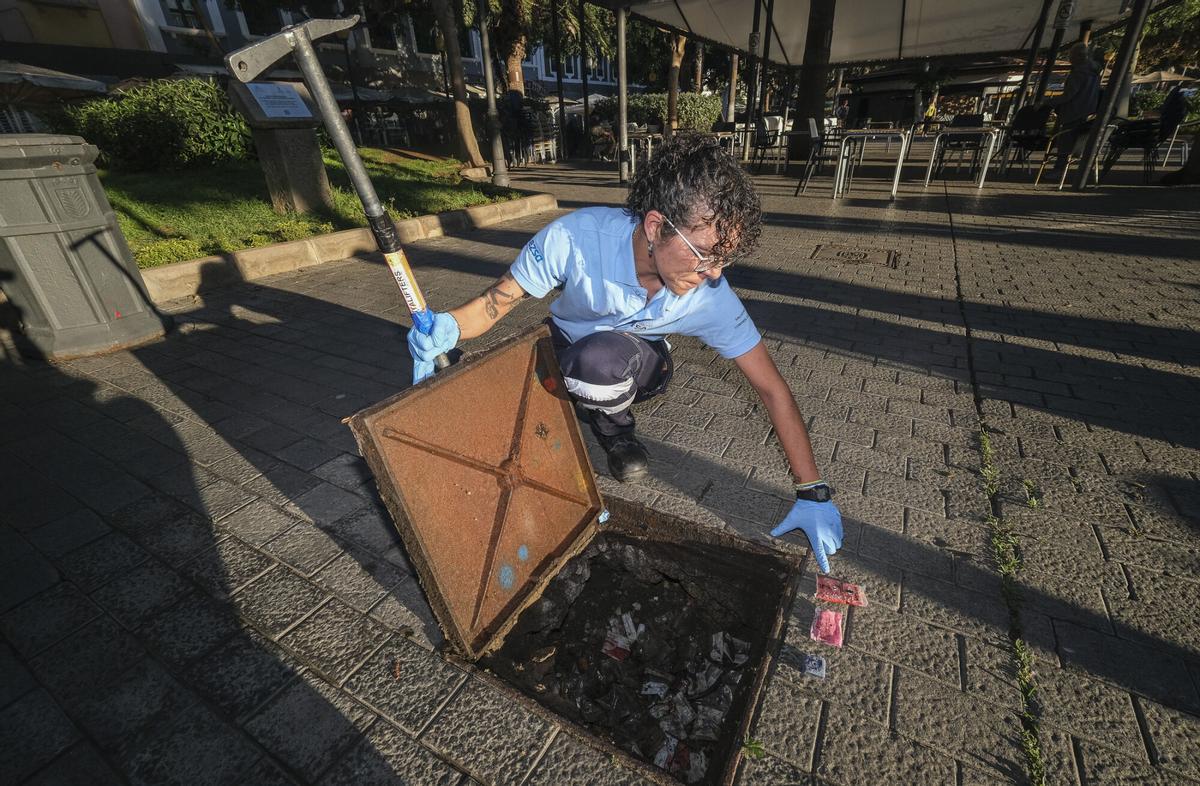 Trabajos de desratización en la zona del parque de Santa Catalina, en Las Palmas de Gran Canaria Trabajos de desratización en la zona del parque de Santa Catalina, en Las Palmas de Gran Canaria