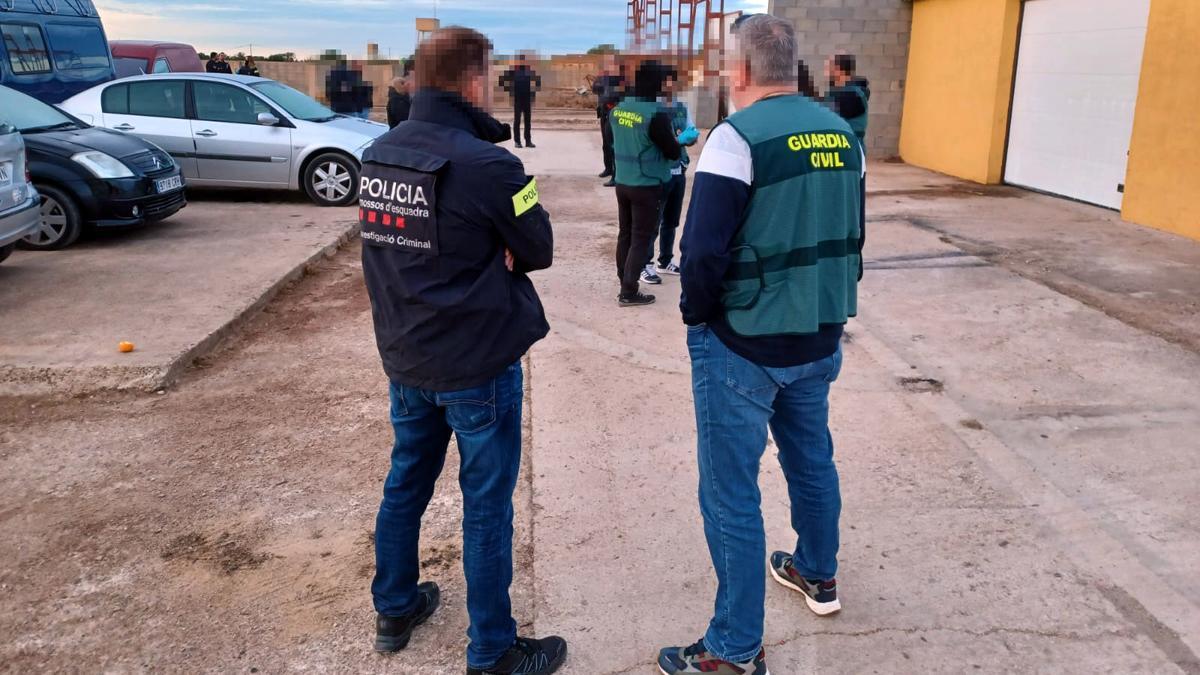 Desarticulada una organitzación criminal especializada en el contrabando de tabaco, tráfico de drogas