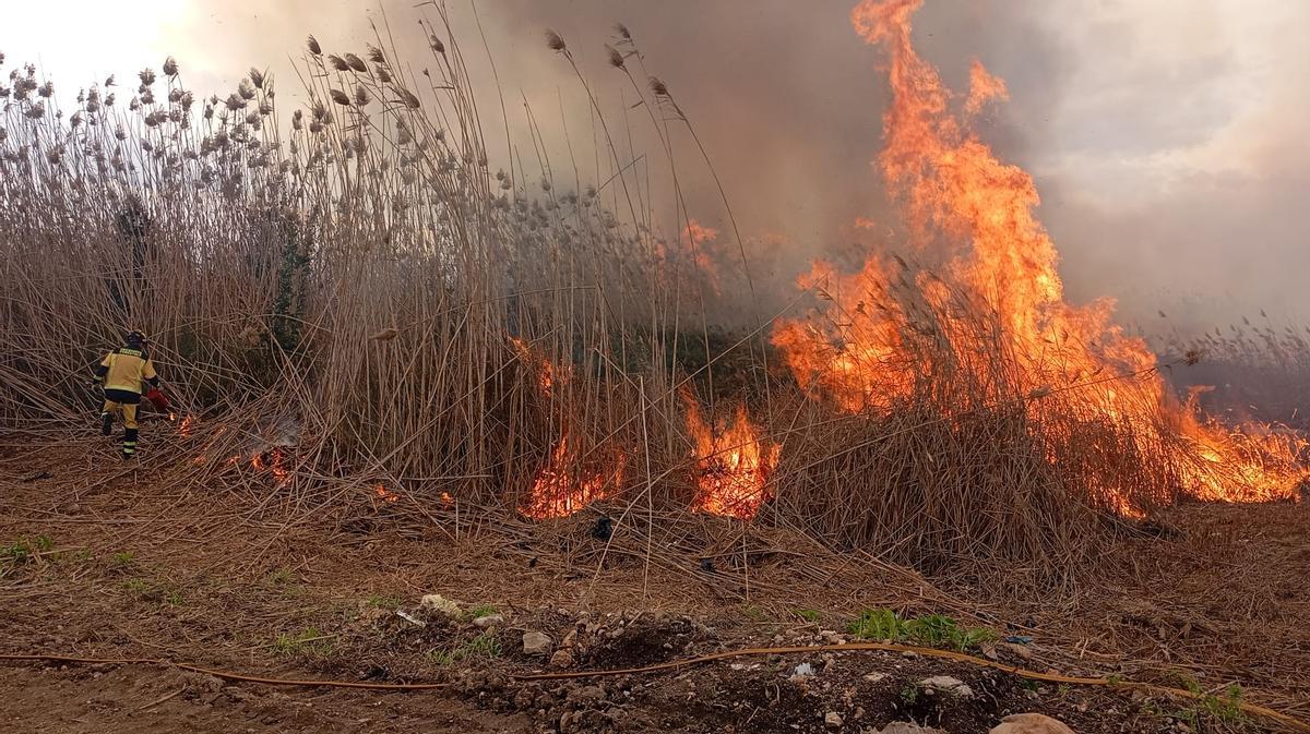 Quemas controladas en el área de Ses Jonqueres Veres.