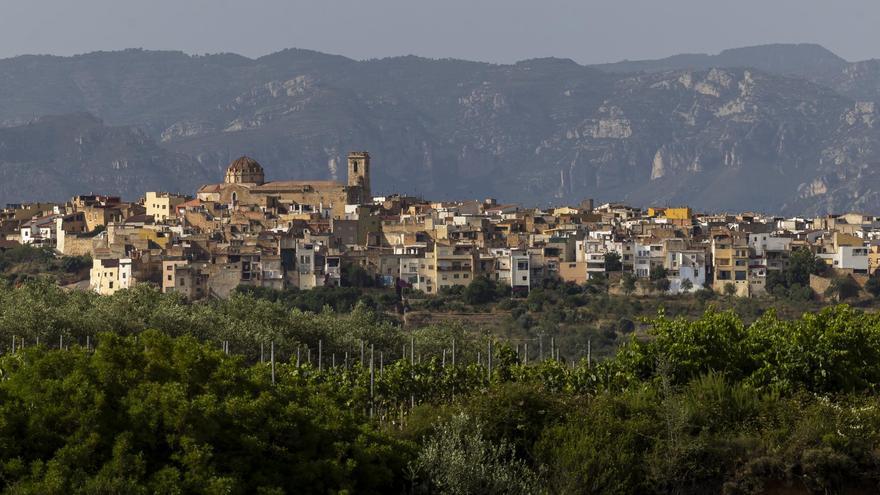 CANET LO ROIG, paisaje cultural de olivos milenarios