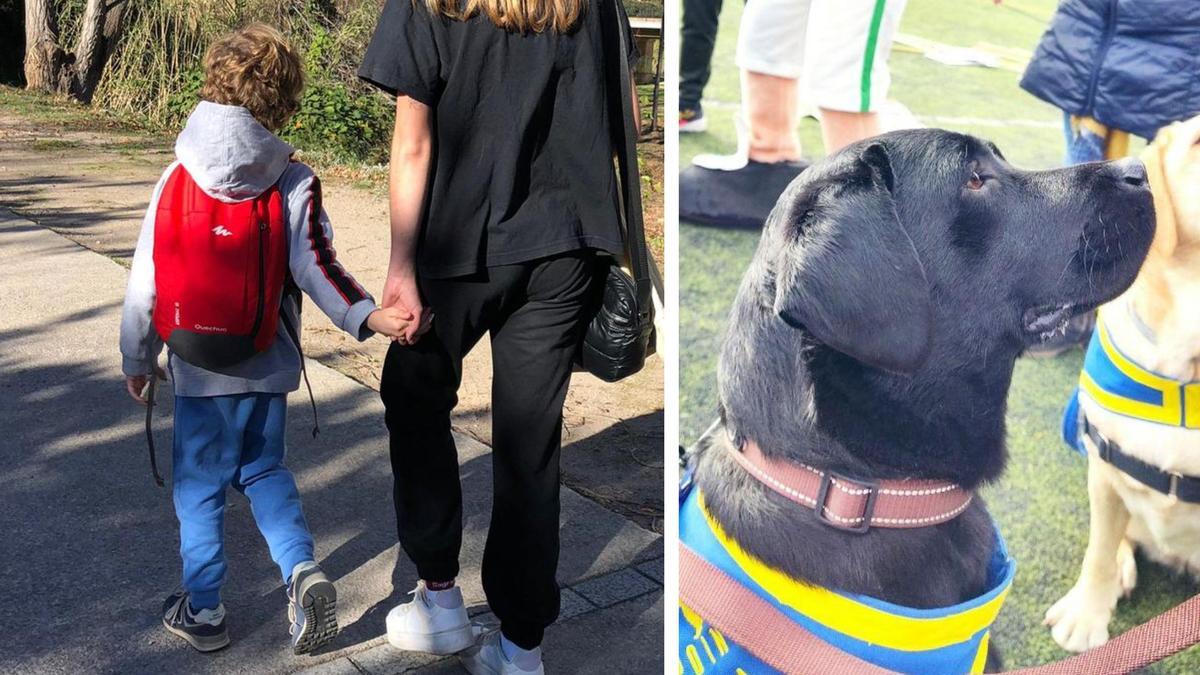 Carlitos, de 7 años y diagnosticado con TEA, necesita un perro de asistencia para mejorar su calidad de vida