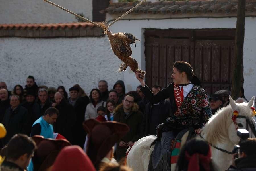 Carrera de Gallos en Fresno de la Ribera