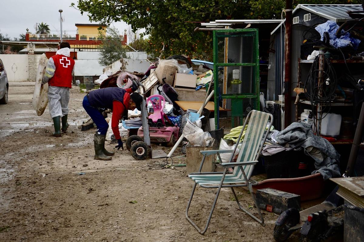 Cordoba - Guadalvalle . Servicios de limpieza de las parcelaciones después de las borrascas leonardo y marta