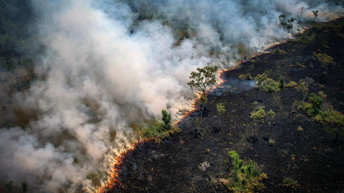 Incendio en Rondonia, Amazonas
