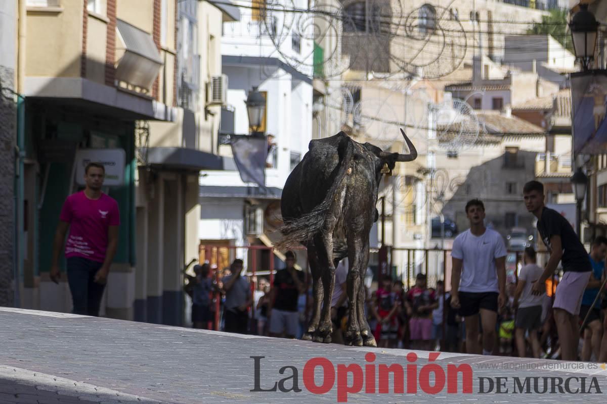 Cuarto encierro en las Fiestas de Moratalla