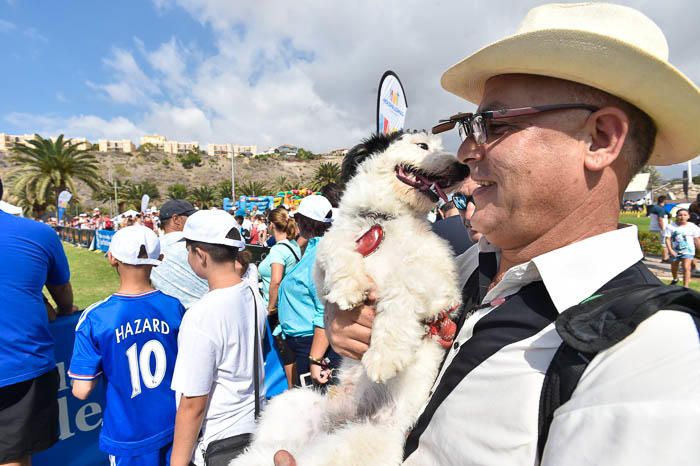 II Feria de mascotas, en Maspalomas