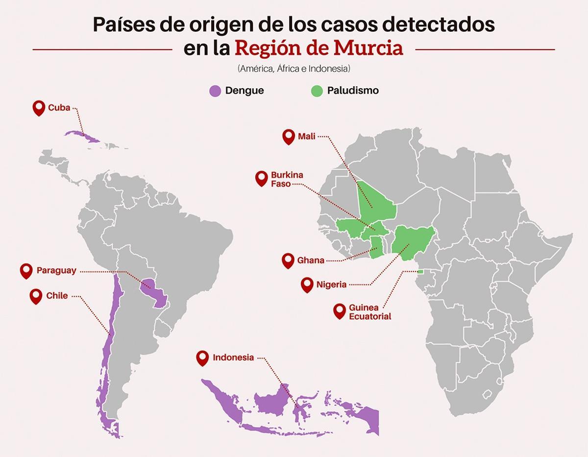 Zonas de origen de los casos de dengue y paludismo detectados en Murcia.