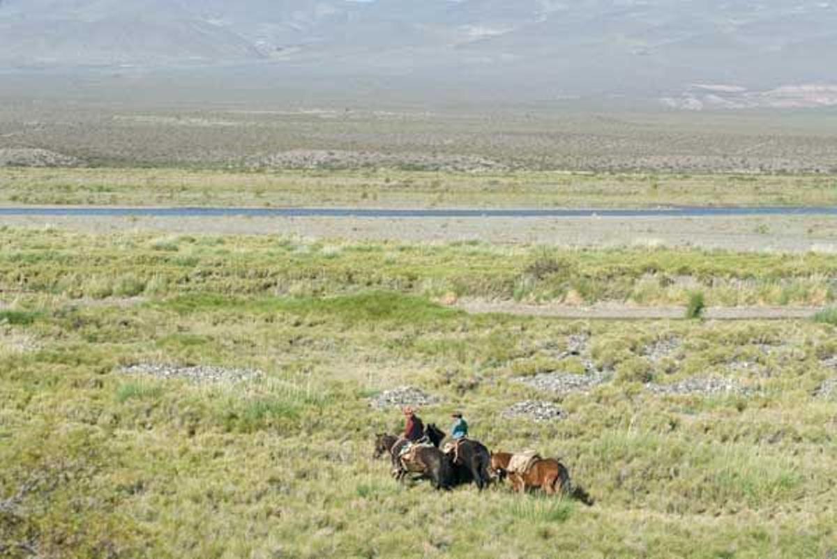 La Pampa argentina es una extensa llanura esteparia y una de las regiones más famosas del país.