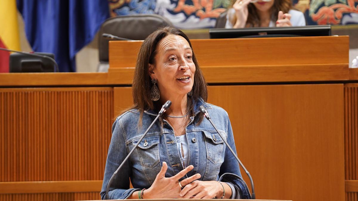 La consejera de Educación, Carmen Susín, en la tribuna de las Cortes.
