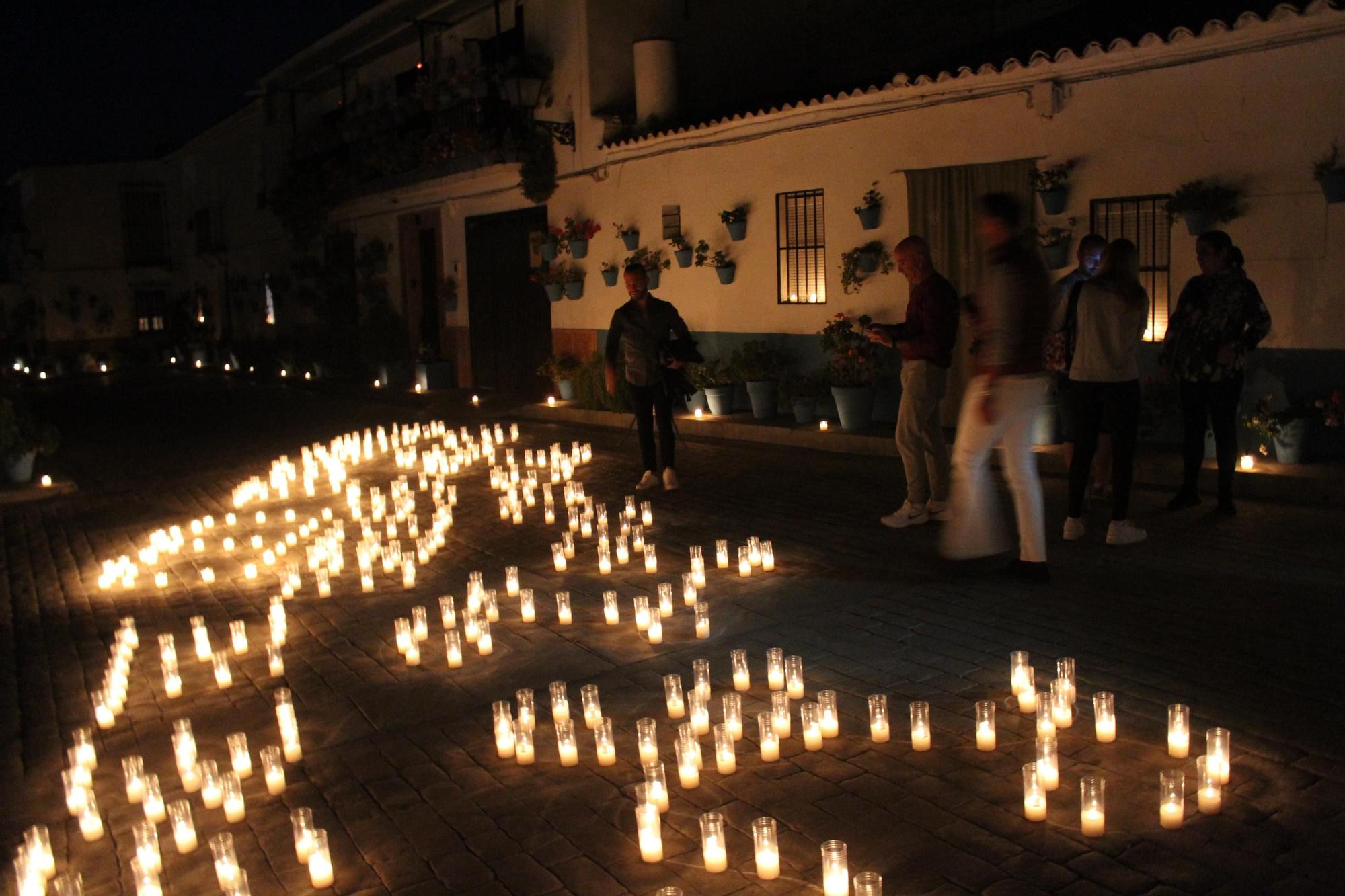 Fotosíntesis llena de luz y planta Cañete de las Torres