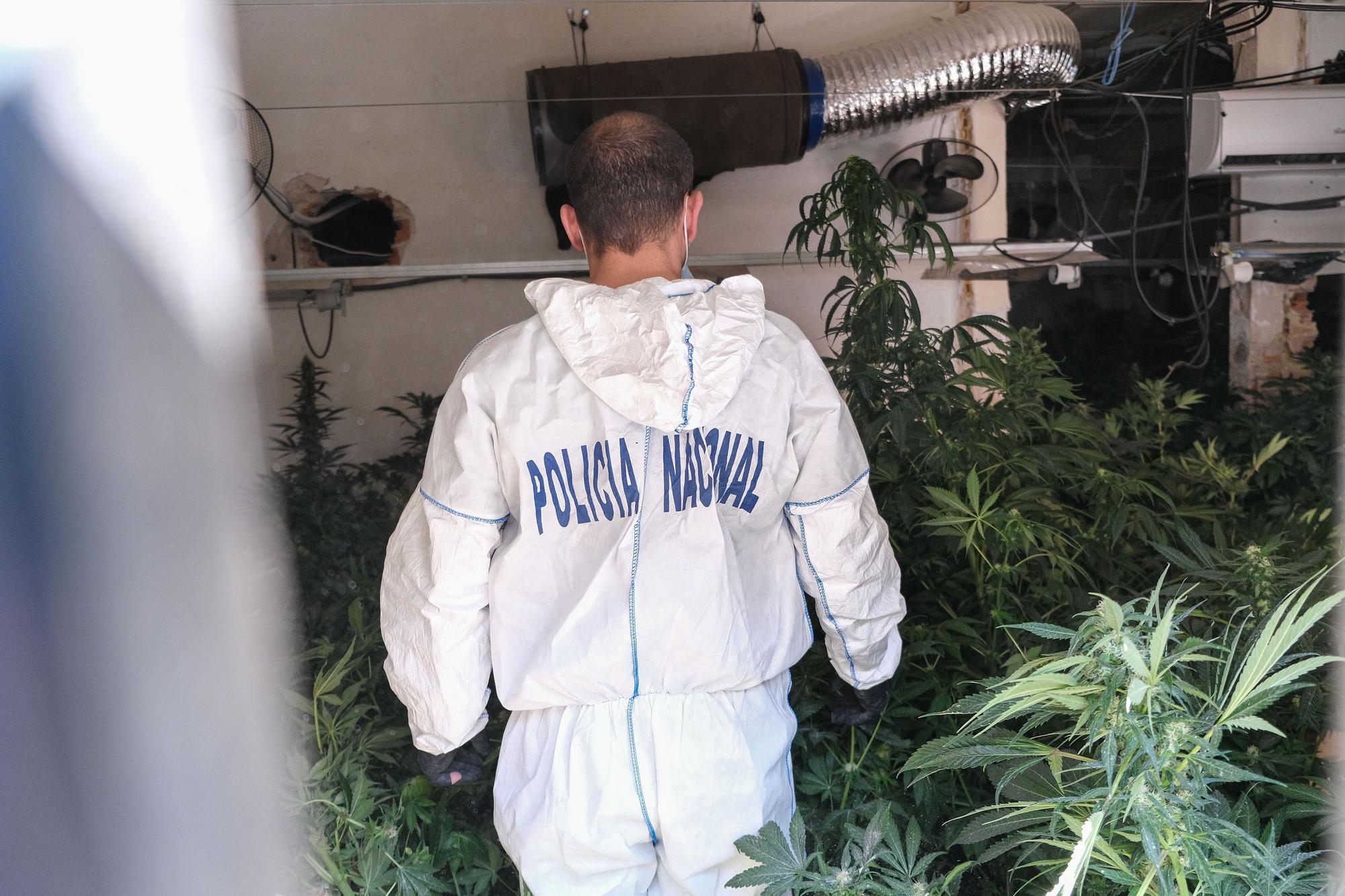 El incendio en una vivienda de Elda permite descubrir una plantación de marihuana