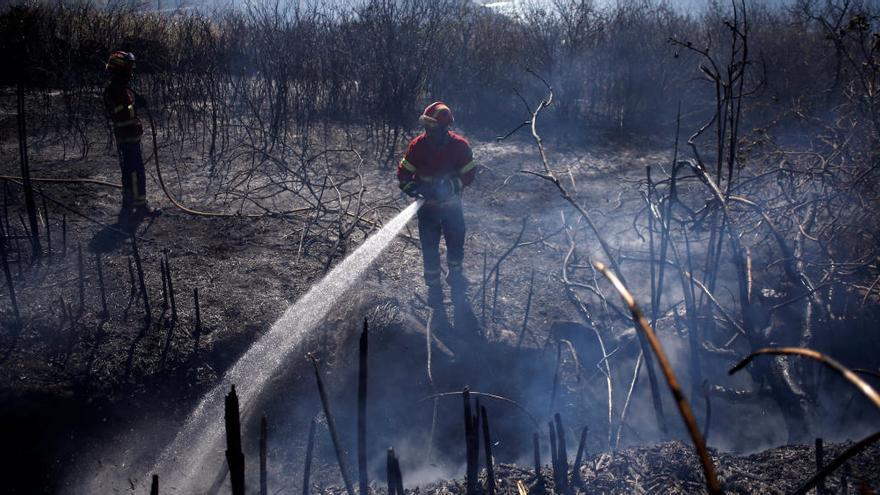 Incendios forestales en Asturias: el año pasado quemaron 26.128 hectáreas menos que en 2017