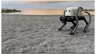 El perro robot que tiene la solución para la suciedad de nuestras playas: las nuevas aplicaciones de la IA