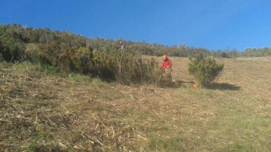 Imatge de l&#039;actuació al puig Tifell