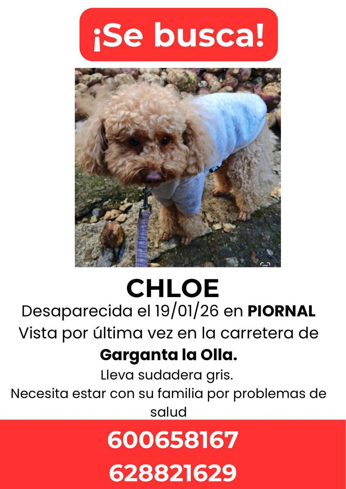 Se busca a Chloe.