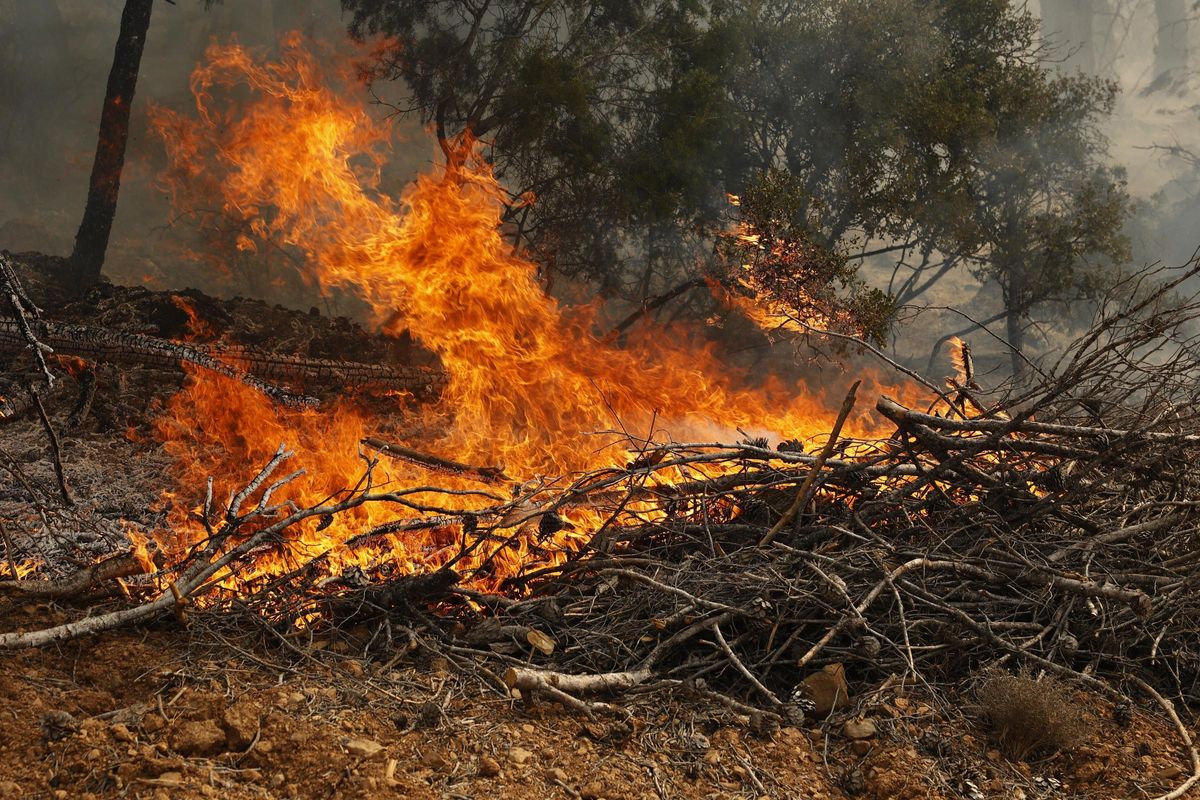 "Cada año hay más incendios y menos agua" "Cada año hay más incendios y menos agua"