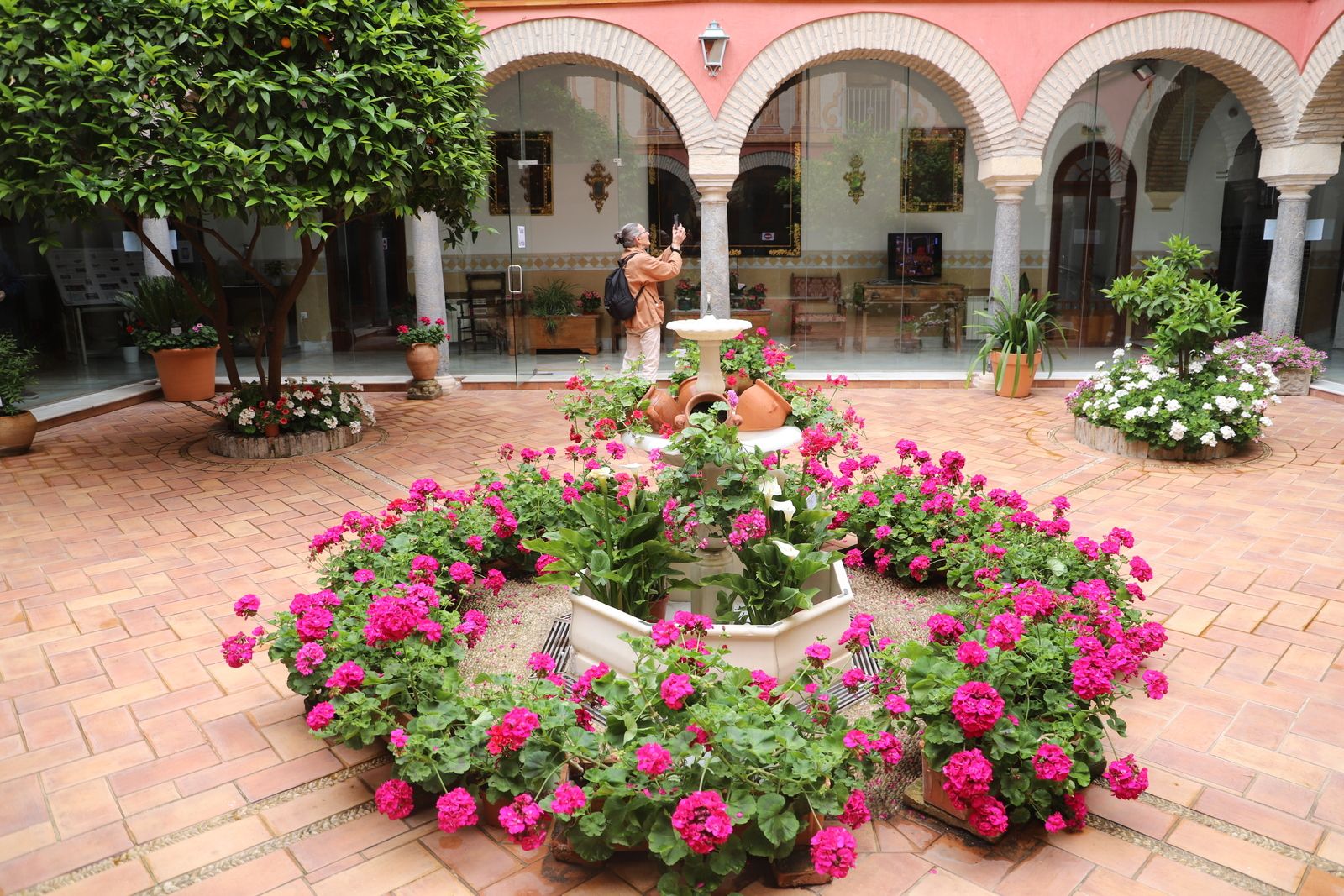 Plaza de las Cañas, 3 (Colegio de la Piedad)