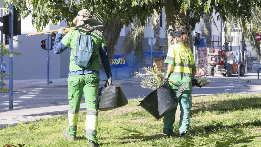 El impago municipal que deja al límite a quienes sostienen la inclusión laboral en Alicante