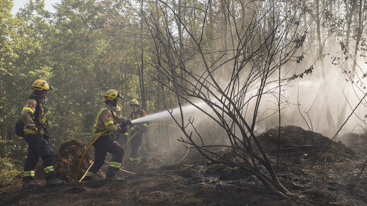 Imagen de archivo de un incendio forestal en Arbúcies.