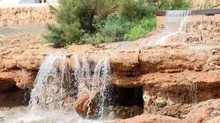 La dana ‘Adam’ da un respiro al campo de Ibiza: "Es más el beneficio que la pérdida"